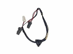 HARNESS