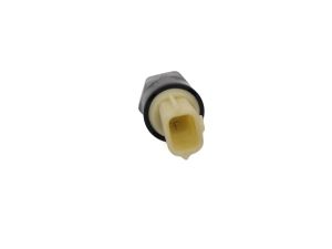 OIL PRESSURE BULB