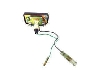 LAMP-ASSY LICENSE