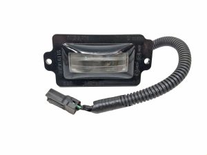 LAMP-ASSY LICENSE