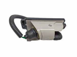LAMP-ASSY LICENSE