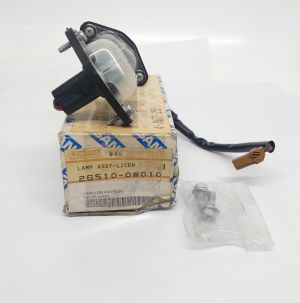 LAMP-ASSY LICENSE