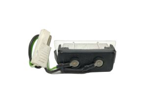 LAMP-ASSY LICENSE