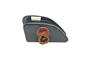 LAMP-ASSY LICENSE