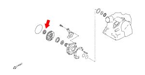 SEAL-OIL CRANKSHAFT FRONT