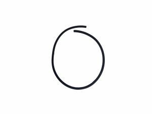 SEAL RING