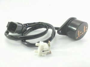 INTERRUPTOR D22/WD22