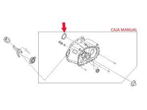 SEAL OIL STEERING GEAR