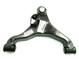 ARM ASSY LOWER RH