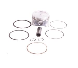 PISTON WITH PIN