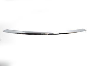 FRONT BUMPER MOLDING