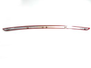 FRONT BUMPER MOLDING