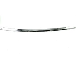 FRONT BUMPER MOLDING