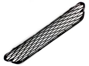 FRONT BUMPER MOLDING