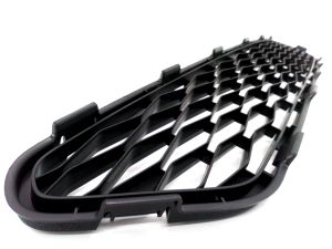 FRONT BUMPER MOLDING