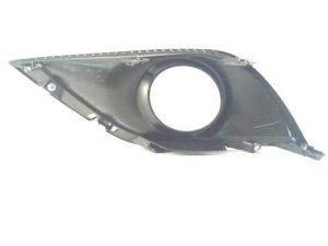 FRONT BUMPER MOLDING