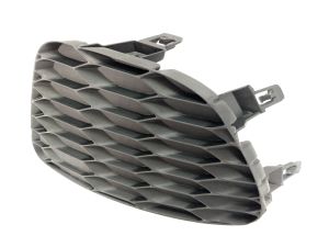FRONT BUMPER MOLDING