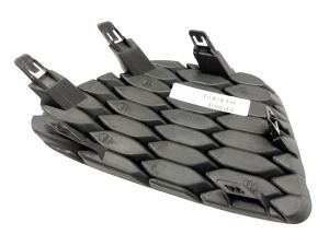 FRONT BUMPER MOLDING