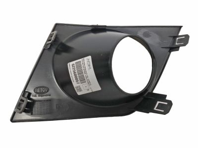 FRONT BUMPER MOLDING