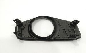 FRONT BUMPER MOLDING