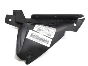 FRONT BUMPER MOLDING