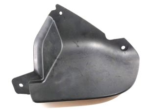 FRONT BUMPER MOLDING