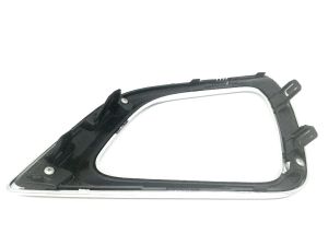 FRONT BUMPER MOLDING