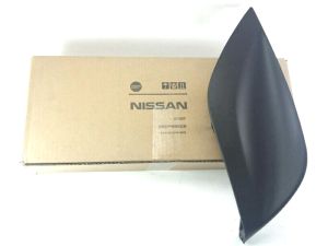 FRONT BUMPER MOLDING