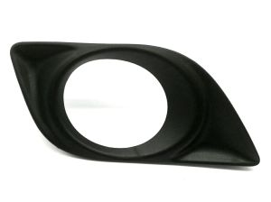 FRONT BUMPER MOLDING