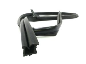WERTHERSTRIP ASSY DOOR