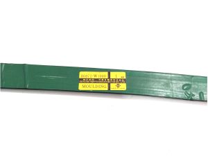 MOULDING FR/DOOR RH