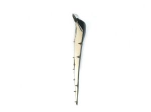 REP. VRS.BODY (SIDE)