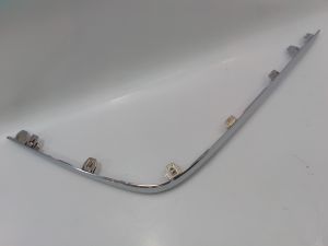 REAR BUMPER MOLDING
