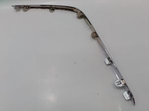 REAR BUMPER MOLDING