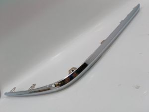 REAR BUMPER MOLDING