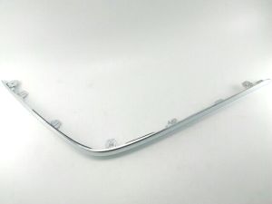 REAR BUMPER MOLDING